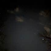 Review photo of Rocky Gap State Park Campground by Nani C., March 22, 2026