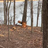 Review photo of Rocky Gap State Park Campground by Nani C., March 22, 2026