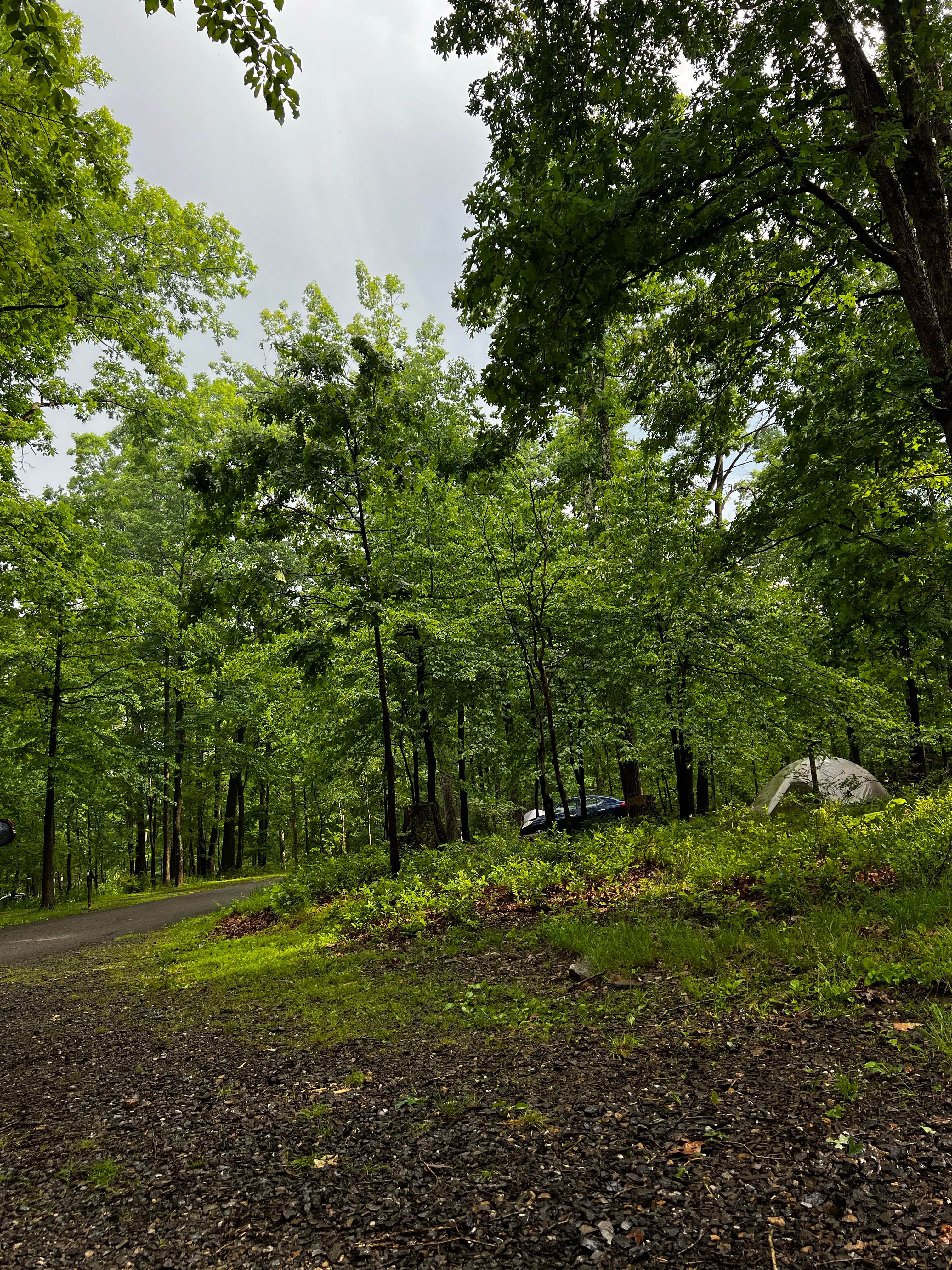 Katie H.'s photo at Rocky Gap State Park Campground near Flintstone, MD
