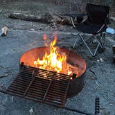 Review photo of Rocky Gap State Park Campground by Nani C., March 22, 2026