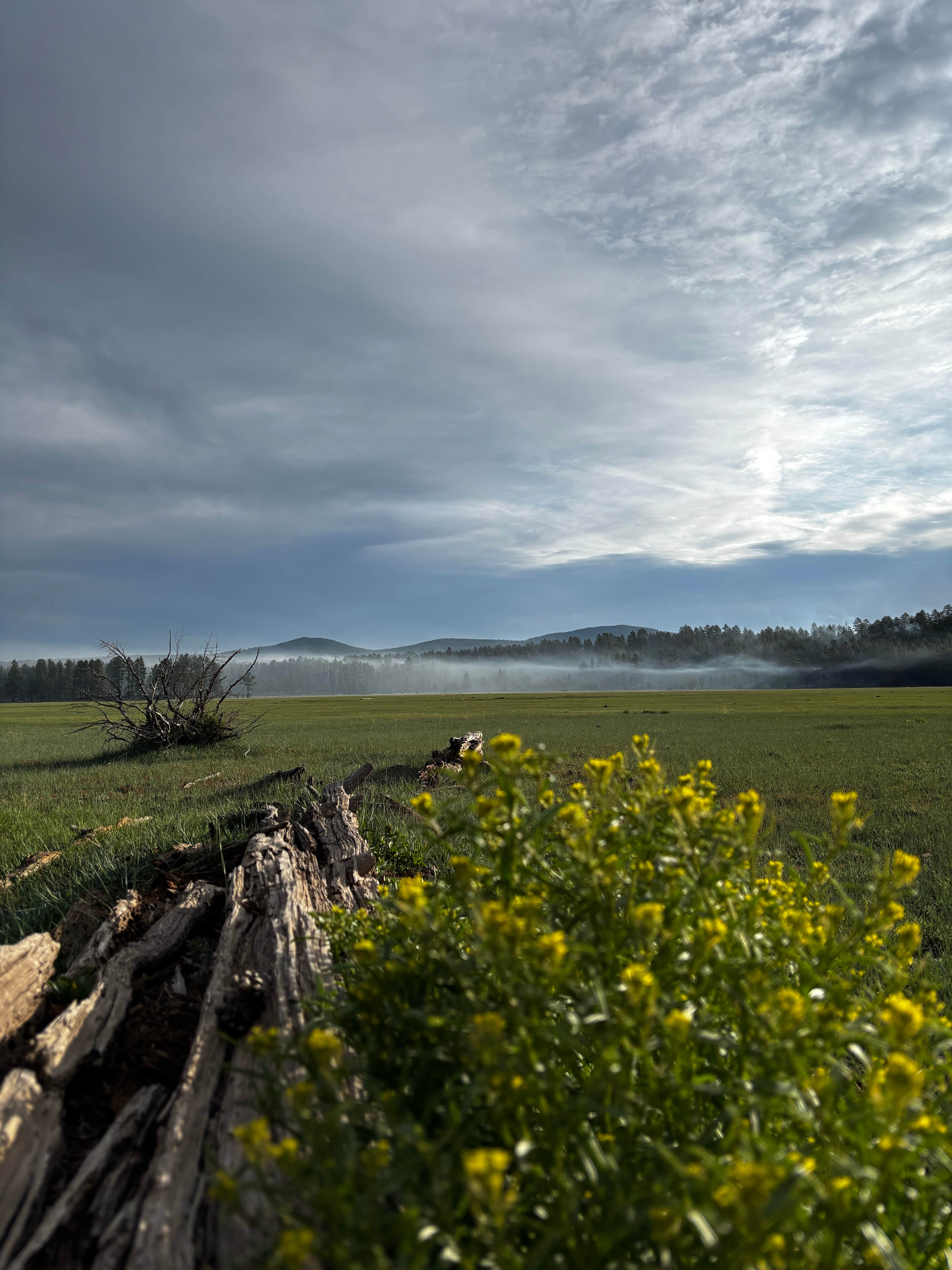 Camping near Stoneman Lake Dispersed Area: Rocky Gulch Camp, Happy Jack, Arizona
