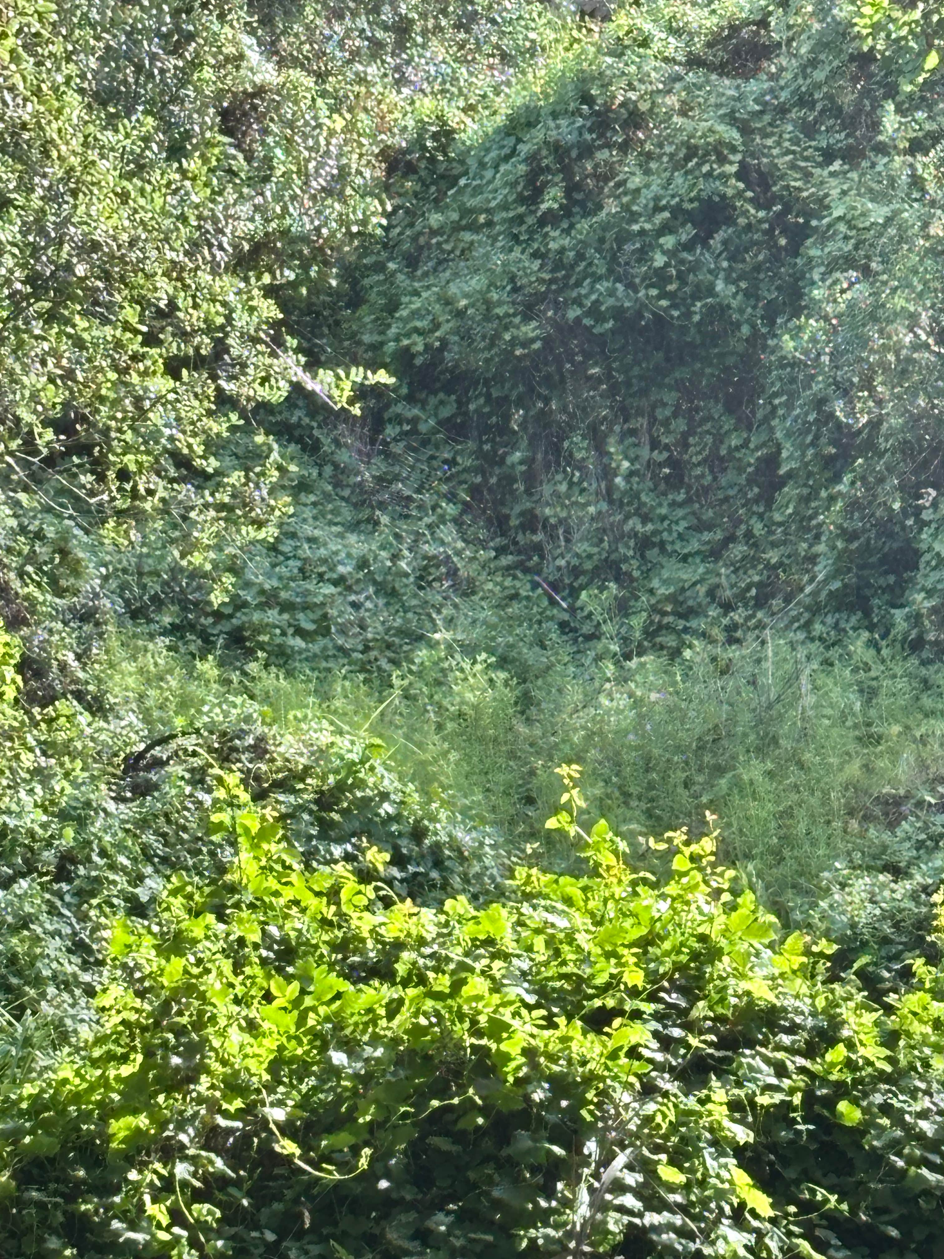 Camping near Meadowbrook RV Park 55+: Rocky Hill Retreat, Homeland, California