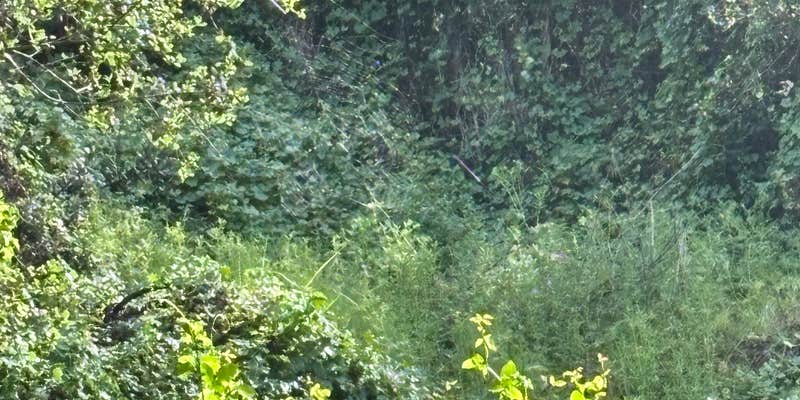 Camper submitted image from Rocky Hill Retreat
