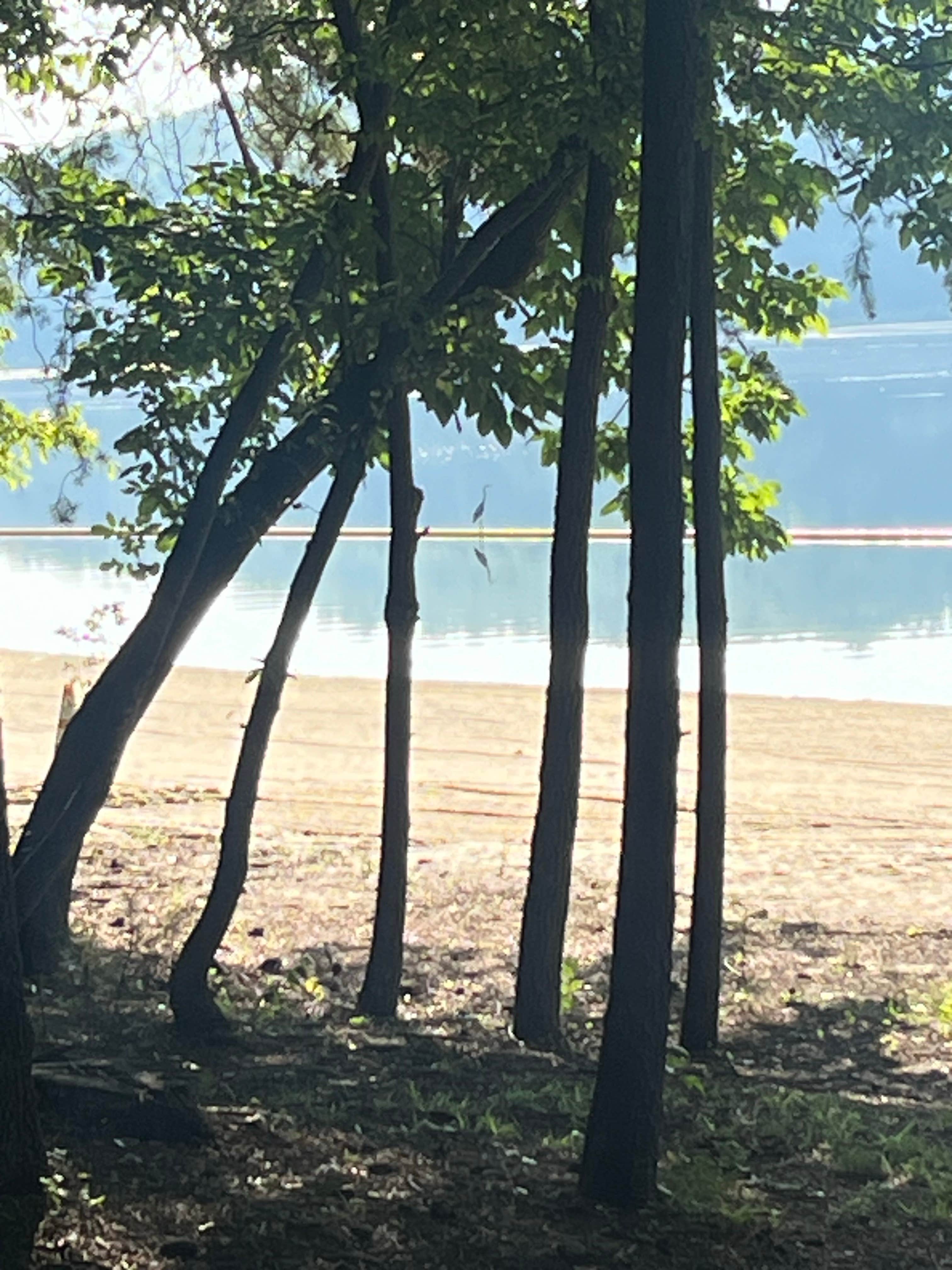 Camper-submitted photo at Rocky Mountain Recreation and Public Fishing Area near Lindale, GA