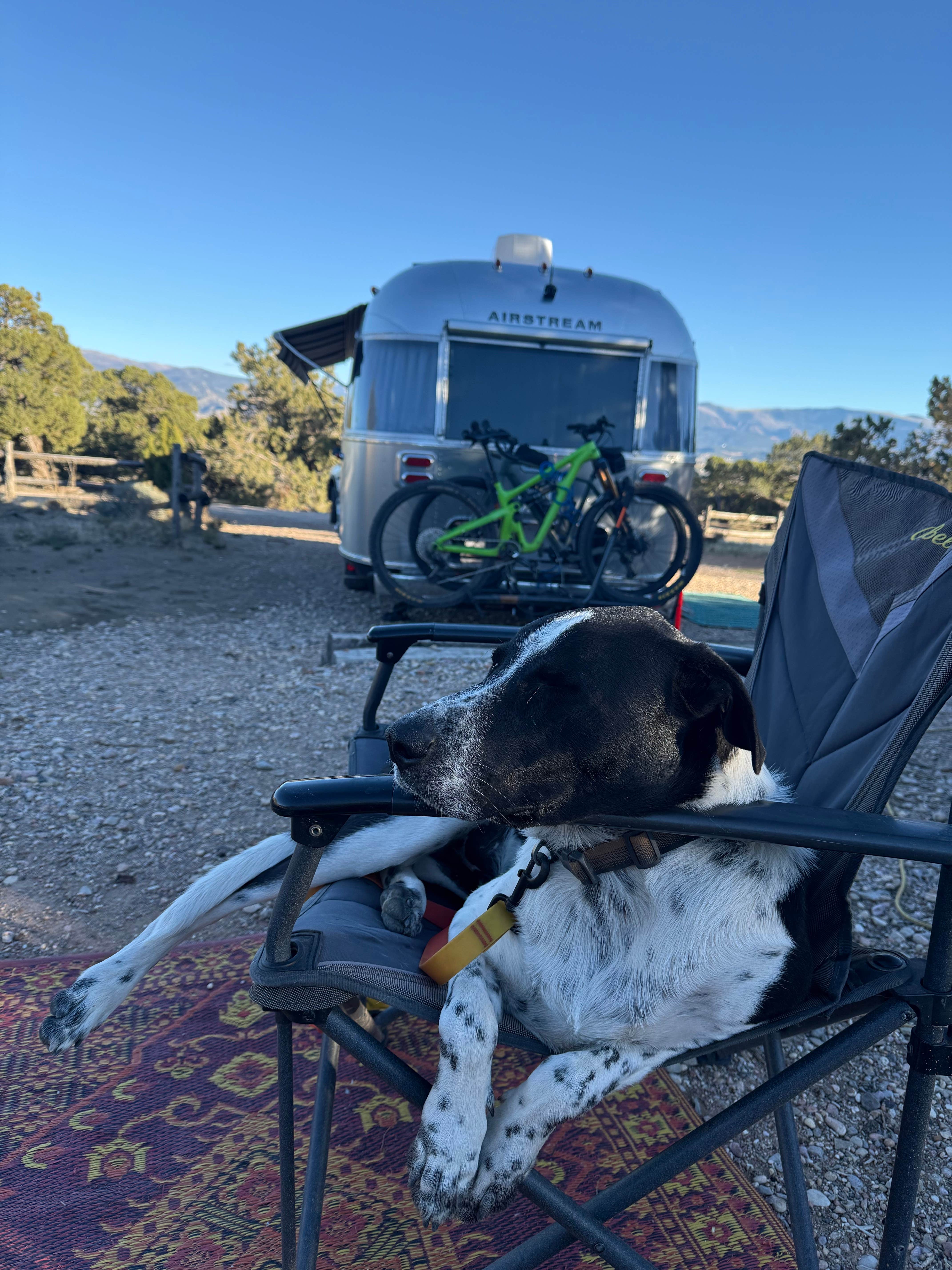 David N.'s photo of camping with pets at Rocky Peak Campground near Cedar City, UT