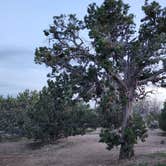 Review photo of Rocky Peak Campground by JC S., May 13, 2025