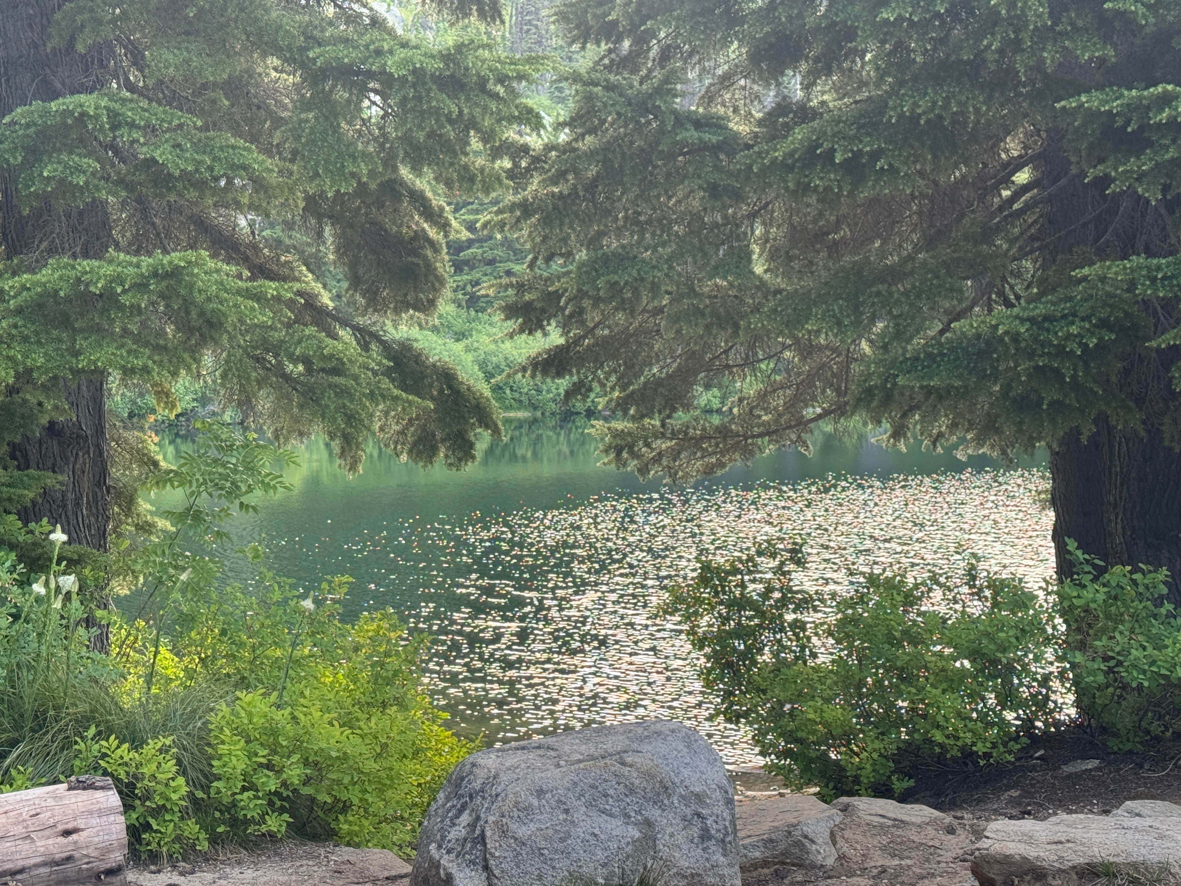 Camper-submitted photo at Rocky Ridge Lake Campground near Elk City, ID