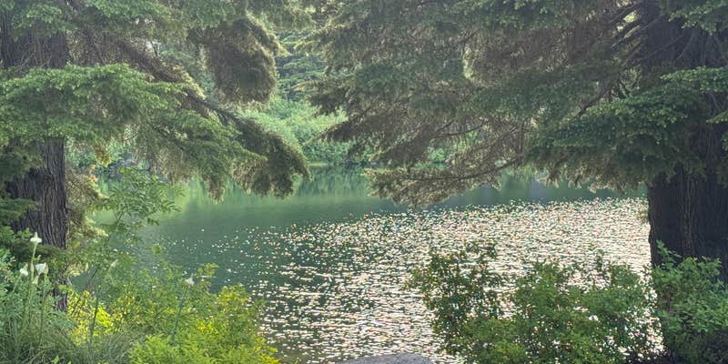 Camper submitted image from Rocky Ridge Lake Campground