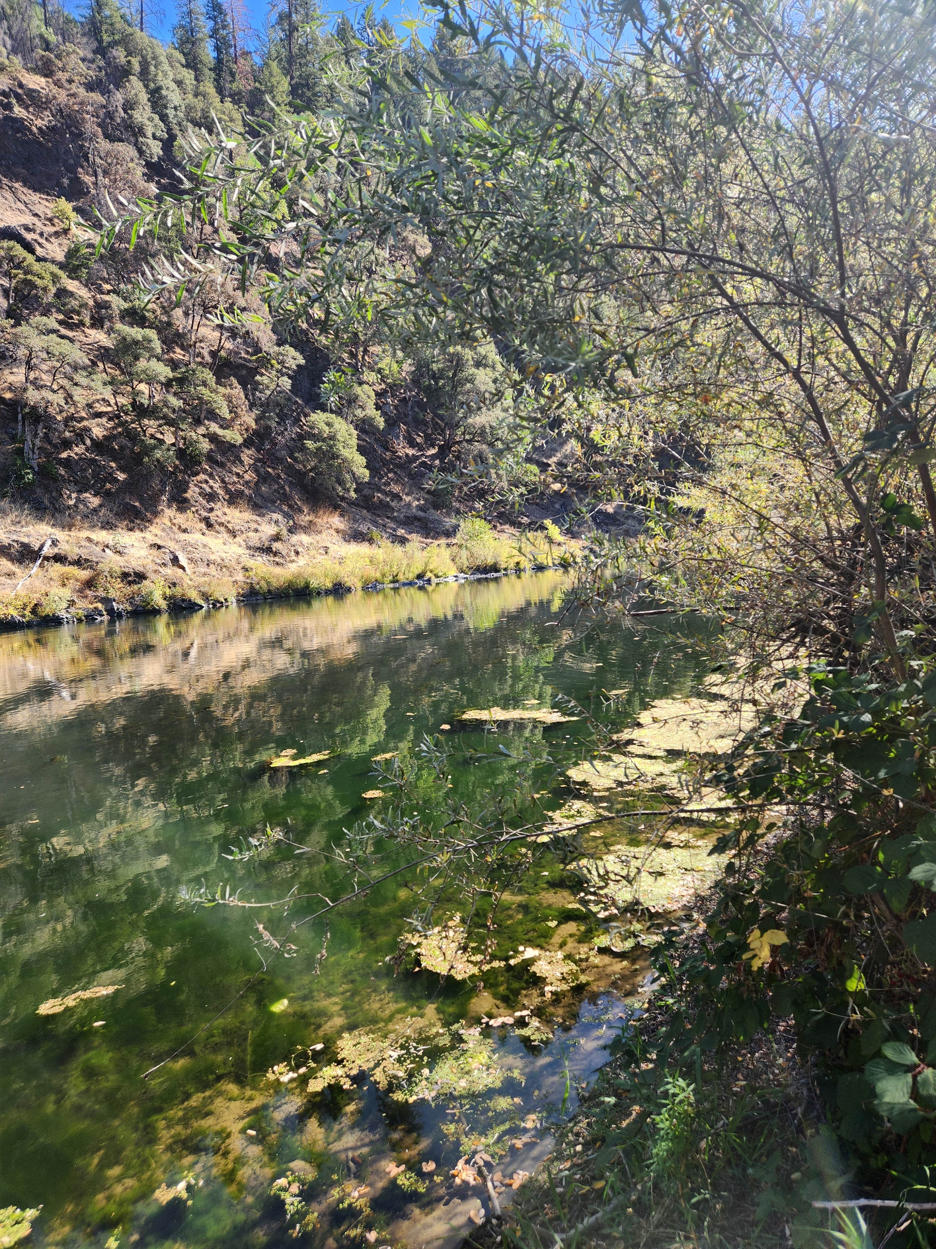 Camper-submitted photo at Rocky Riffle near Rogue River, OR