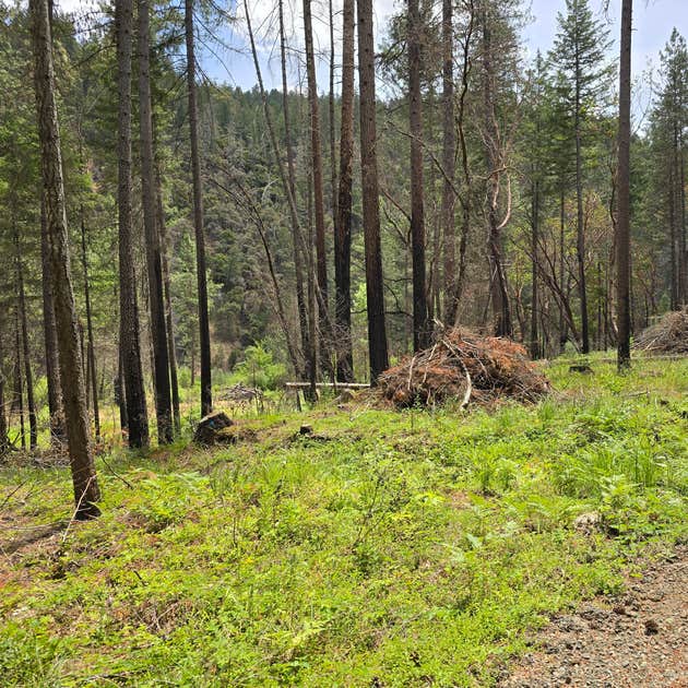 Rocky Riffle Camping | Merlin, Oregon