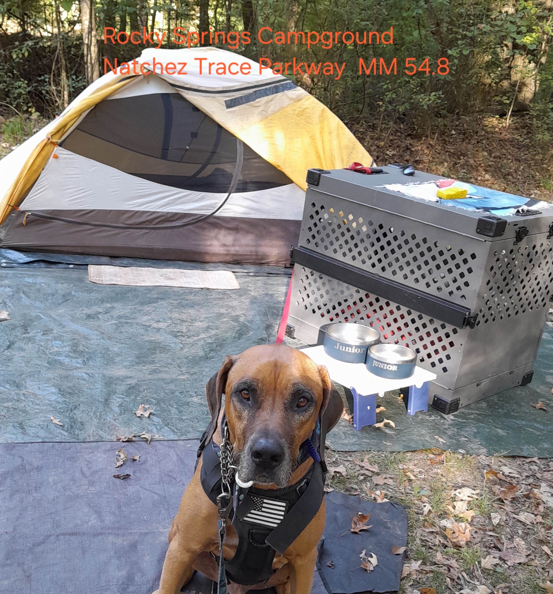 Nancy K.'s photo of tent camping at Rocky Springs Campground, Milepost 54.8 — Natchez Trace Parkway near Crystal Springs, MS