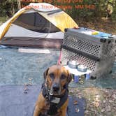 Review photo of Rocky Springs Campground, Milepost 54.8 — Natchez Trace Parkway by Nancy K., December 3, 2025