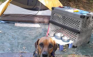 Nancy K.'s photo at Rocky Springs Campground, Milepost 54.8 — Natchez Trace Parkway near Delhi, LA