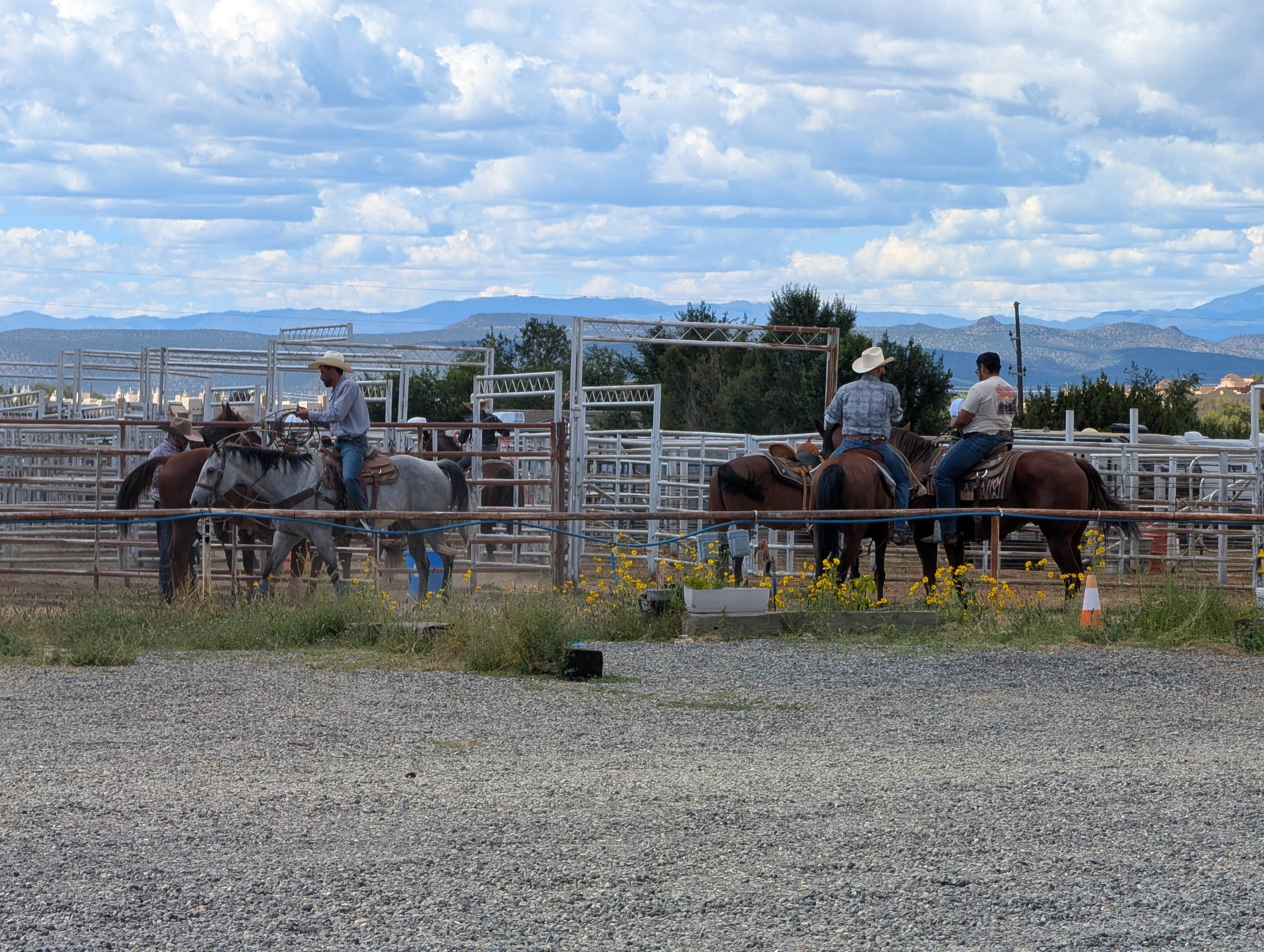 Camper submitted image from Rodeo de Santa Fe - 5