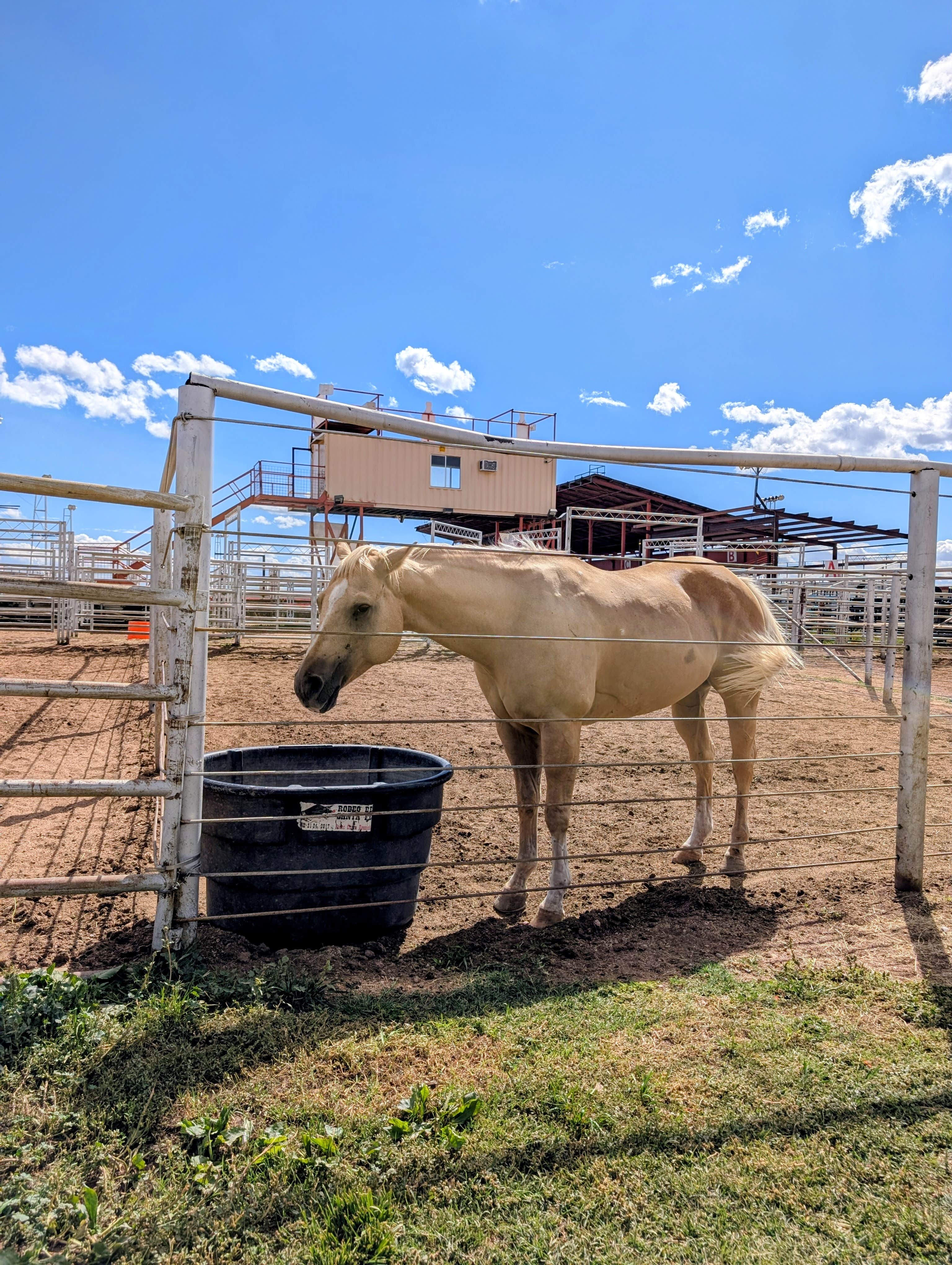 Camper submitted image from Rodeo de Santa Fe - 4