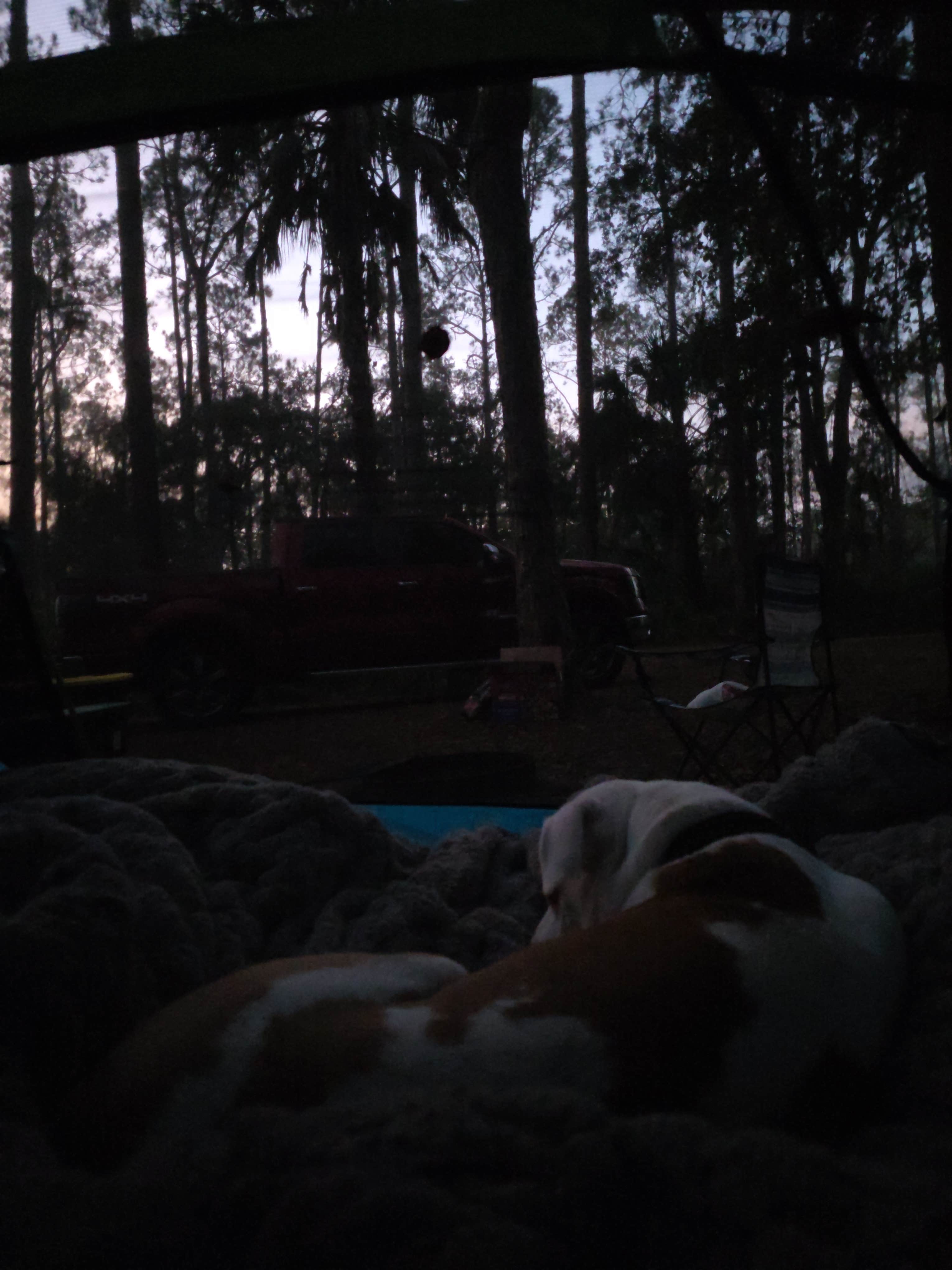 Camping near Trails End Outdoors RV Park & Cabins: Rodman Campground, Welaka, Florida