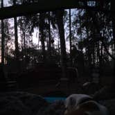 Review photo of Rodman Campground by Sherry , January 8, 2026