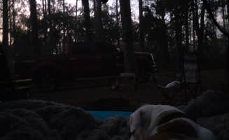 Sherry's photo of camping with pets at Rodman Campground near Crescent City, FL