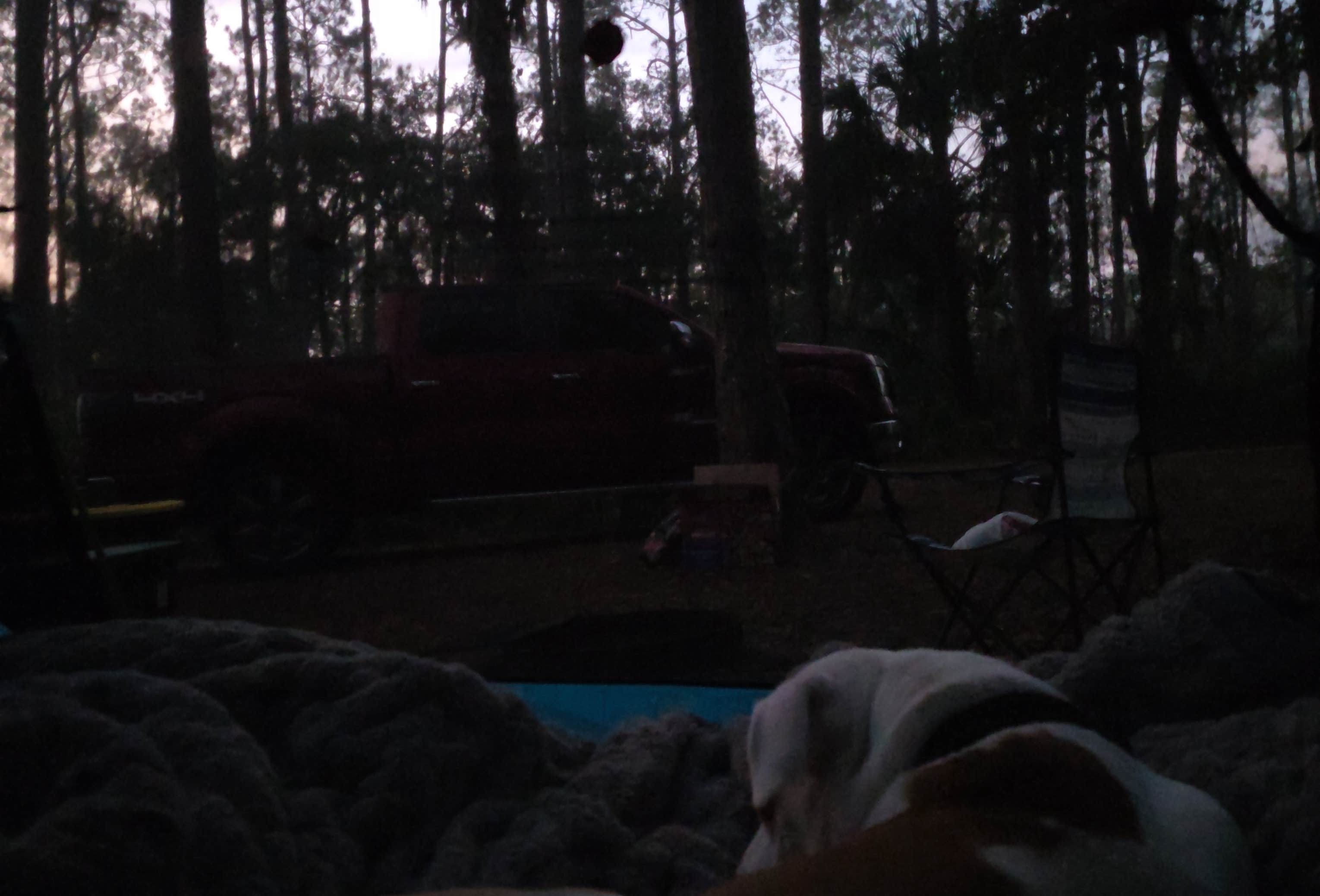 Rodman Florida Rodman Campground | Welaka, Florida