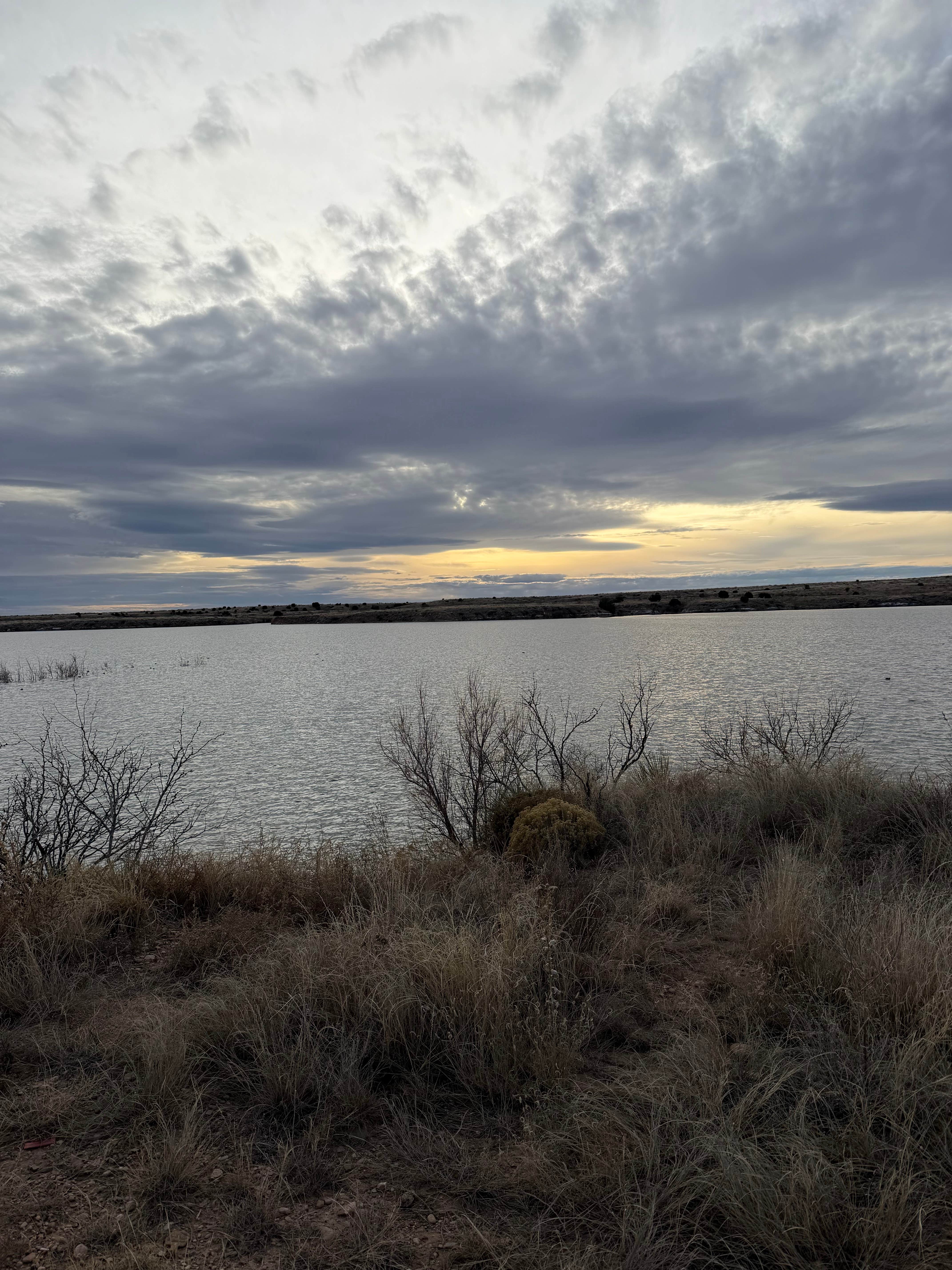 Camper submitted image from Rogers Road - Ute Lake State Park - 3