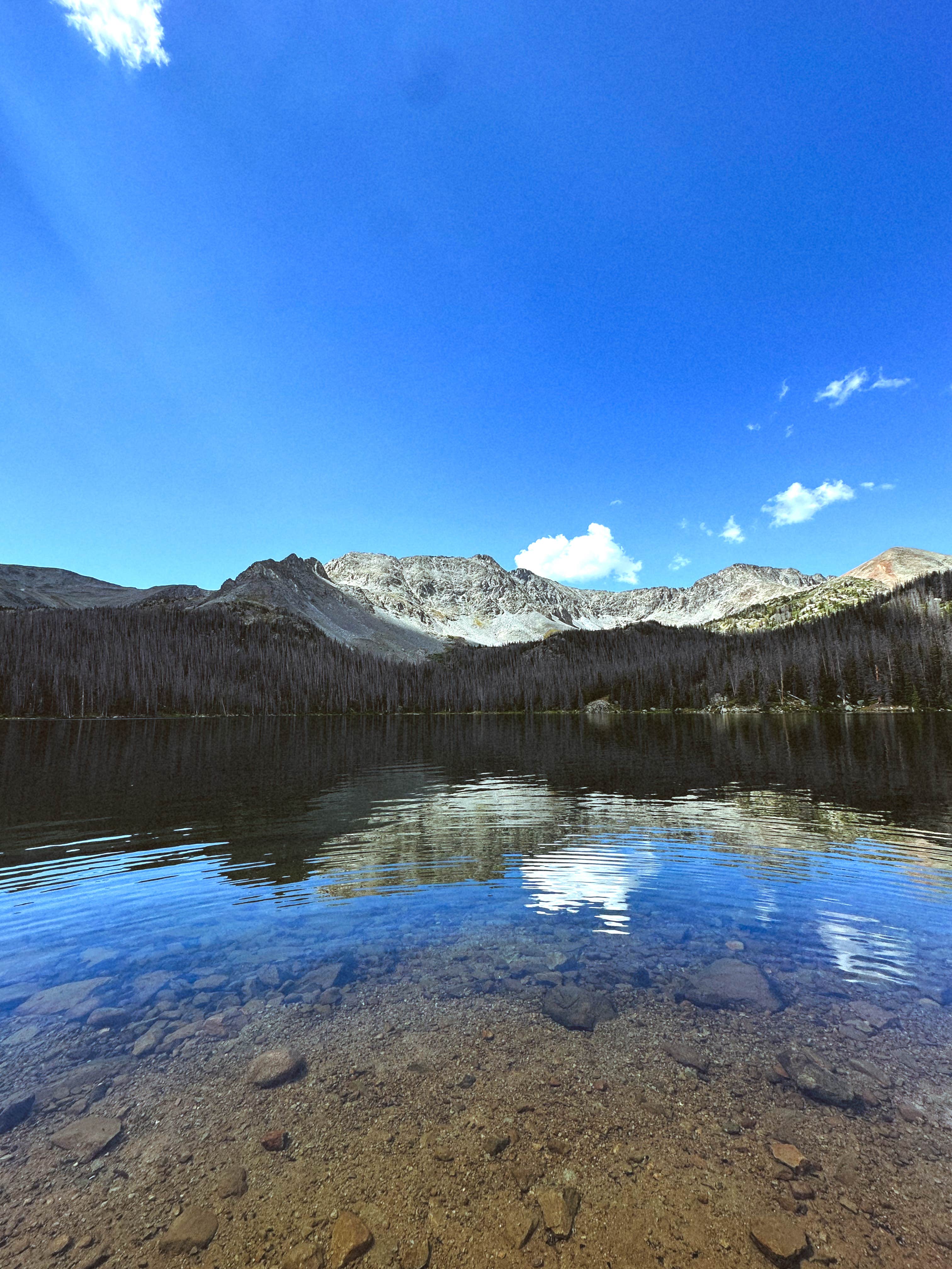 Emma H.'s photo of a dispersed camping area at Road 240 - Dispersed near Sargents, CO