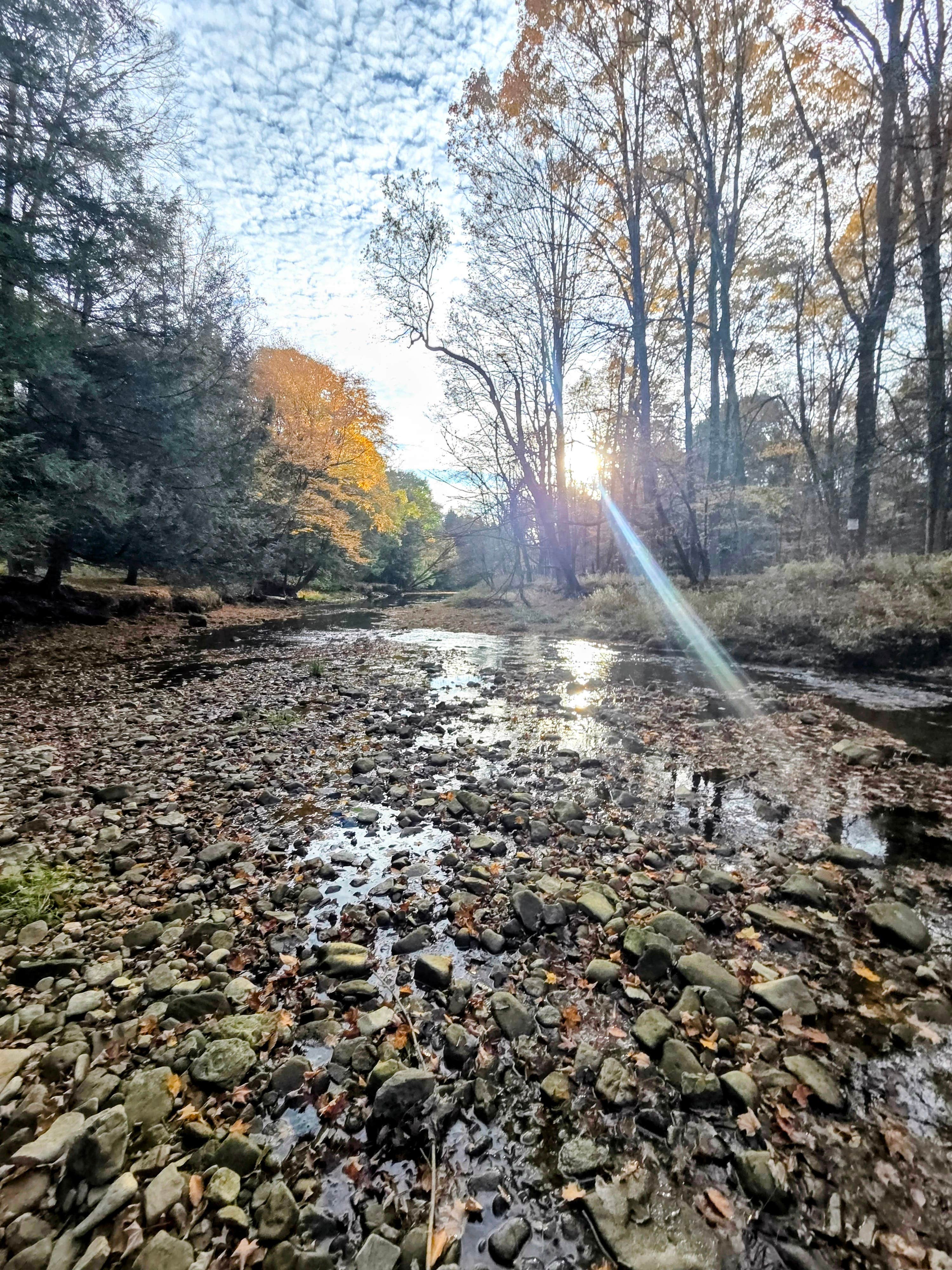 Roller Coaster Road Camping | Rouseville, Pennsylvania