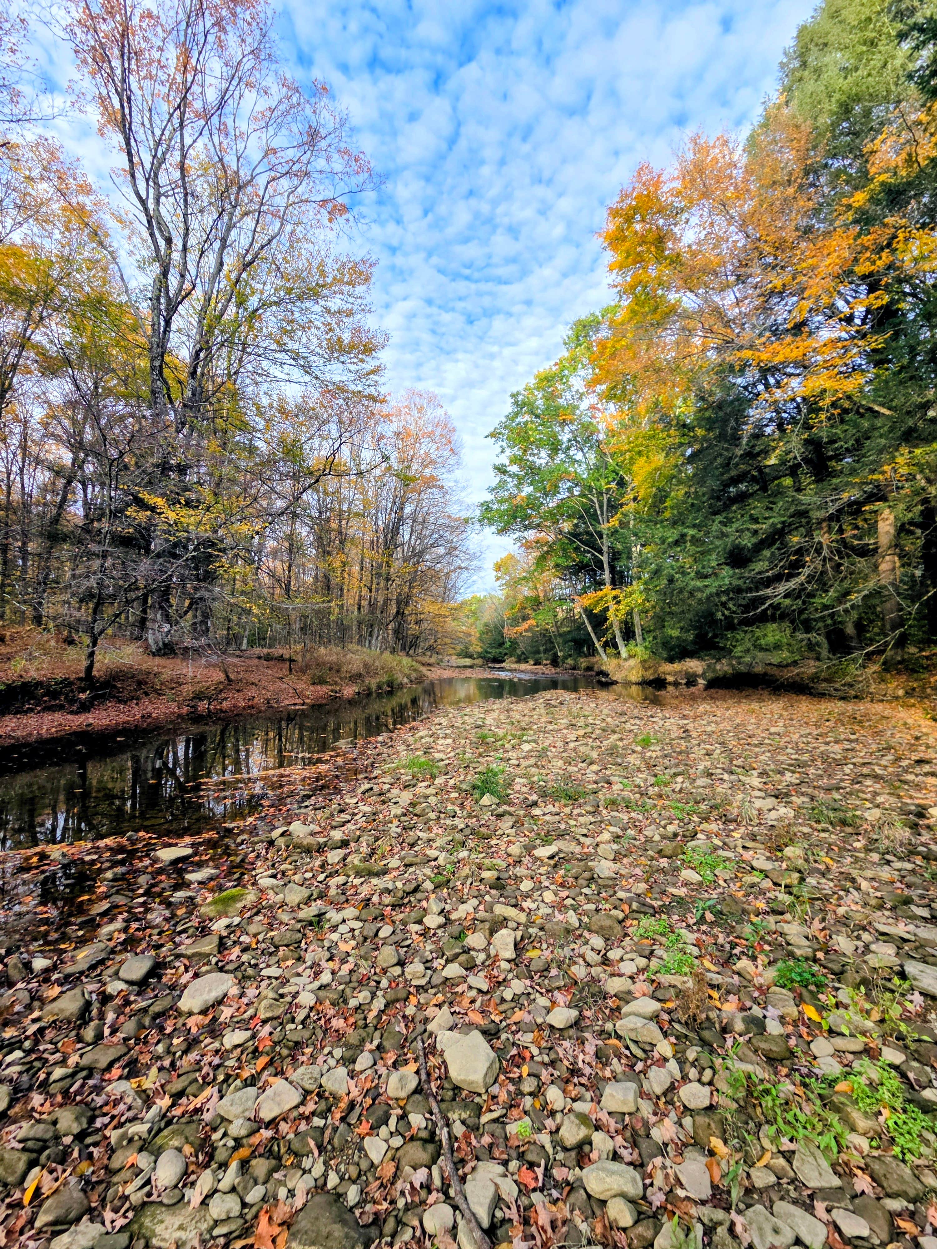 Camper-submitted photo at Roller Coaster Road near Titusville, PA