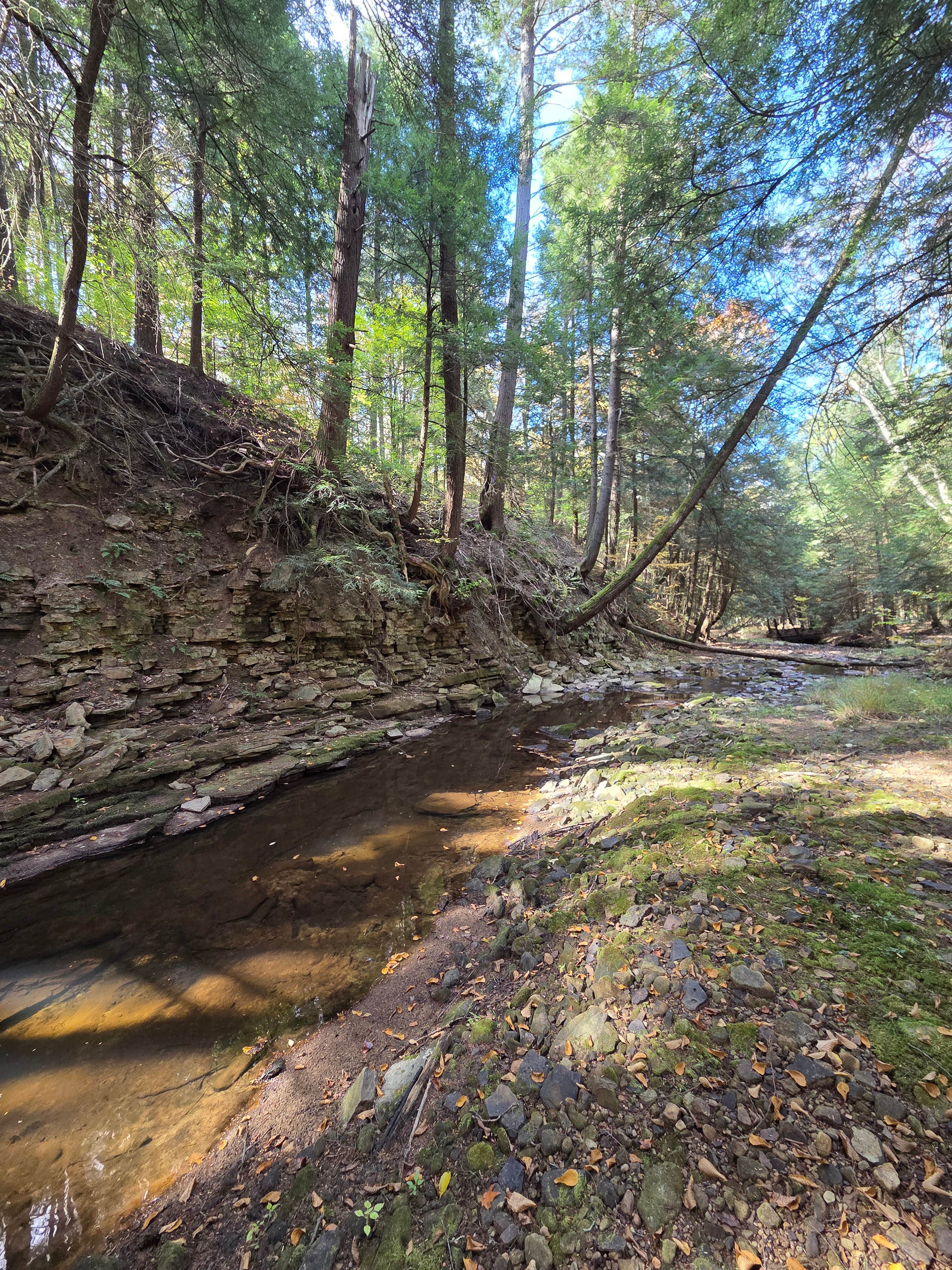 Camper-submitted photo at Roller Coaster Road near Titusville, PA