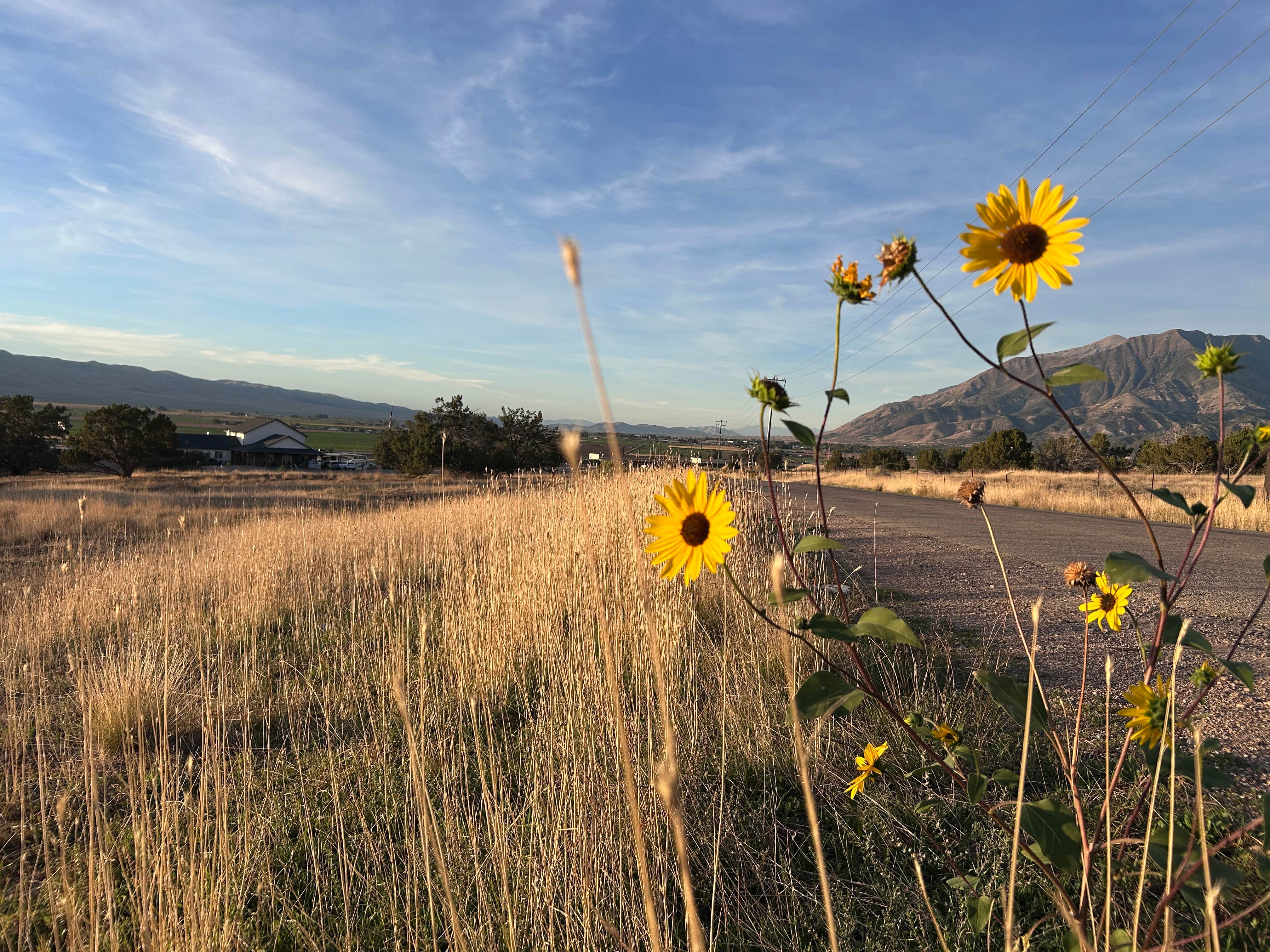Camper-submitted photo at Rollin' Home RV Park near Elk Ridge, UT