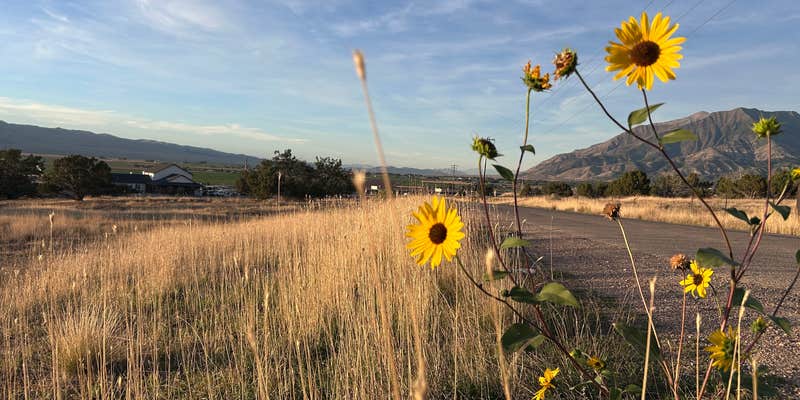 Camper submitted image from Rollin' Home RV Park