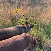Review photo of Rollin' Home RV Park by jason C., September 25, 2026