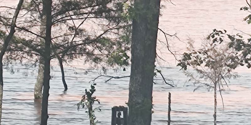 Camper submitted image from Romulus Lake