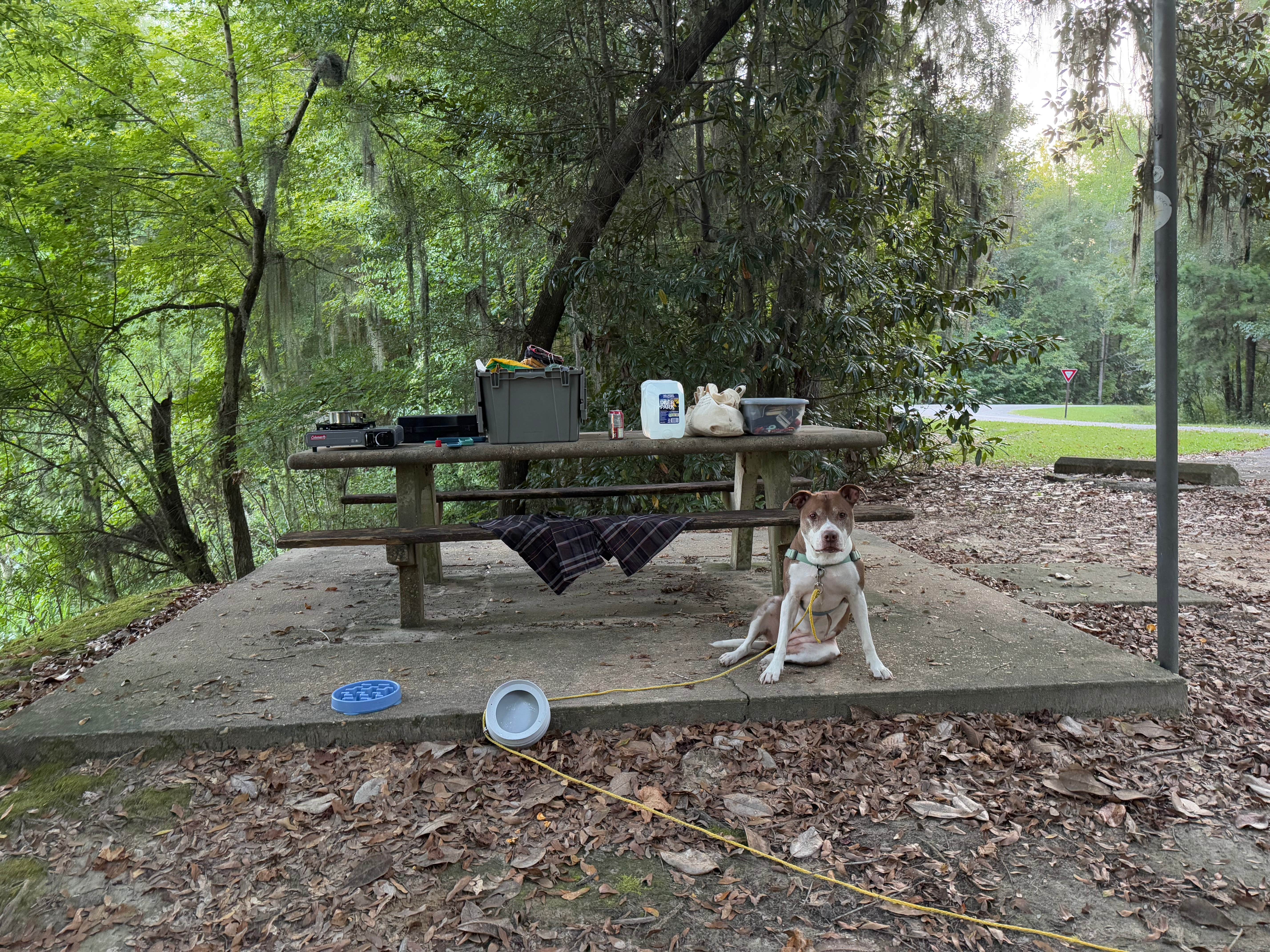 Rae W.'s photo of camping with pets at Rood Creek Park Camping near Columbus, GA