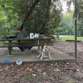 Review photo of Rood Creek Park Camping by Rae W., September 5, 2025