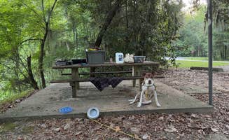 Rae W.'s photo of camping with pets at Rood Creek Park Camping near Americus, GA
