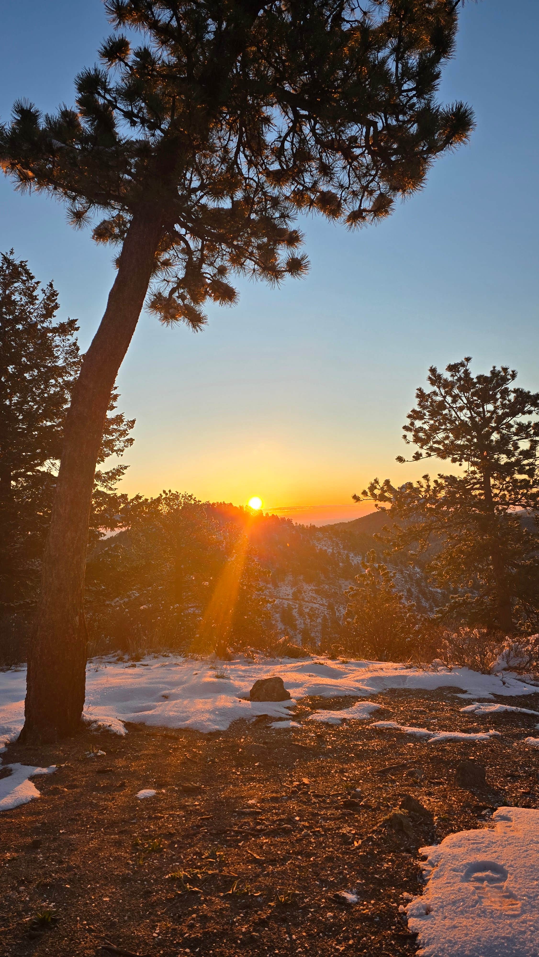 Camping near Forest Road 332 Dispersed: Dispersed Camp Near Dream Canyon, Nederland, Colorado
