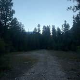 Review photo of Roosters Rest Stop Dispersed by Lani B., August 19, 2026