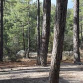 Review photo of Rose Canyon Campground by Kathleen D., April 21, 2026