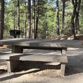 Review photo of Rose Canyon Campground by Kathleen D., April 21, 2026