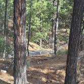 Review photo of Rose Canyon Campground by Kathleen D., April 21, 2026