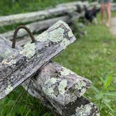 Review photo of Rose Creek Campground and Cabins Franklin, NC by Kevin A., July 11, 2024