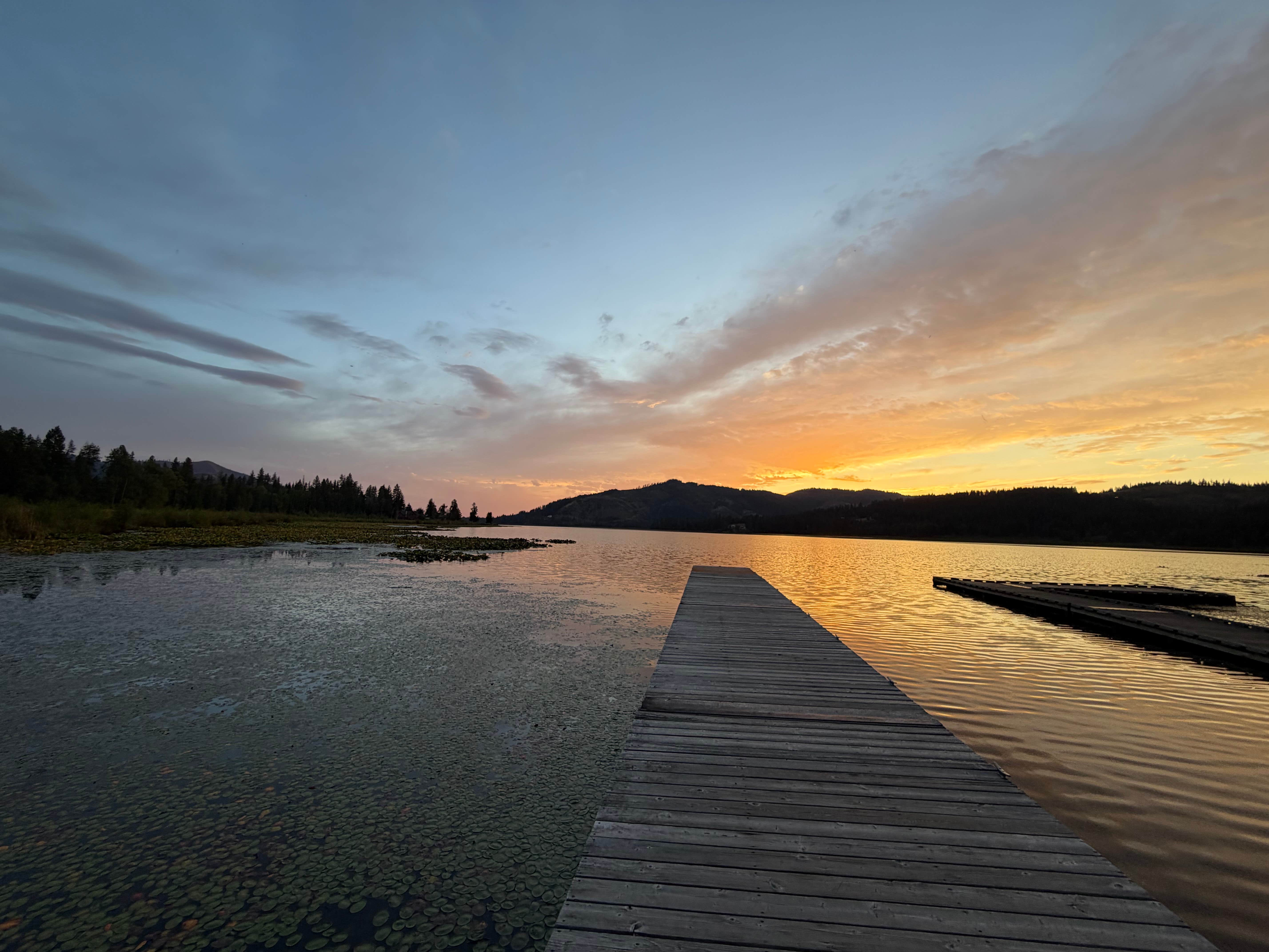 alexandria W.'s photo of a dispersed camping area at Rose Lake near Avery, ID