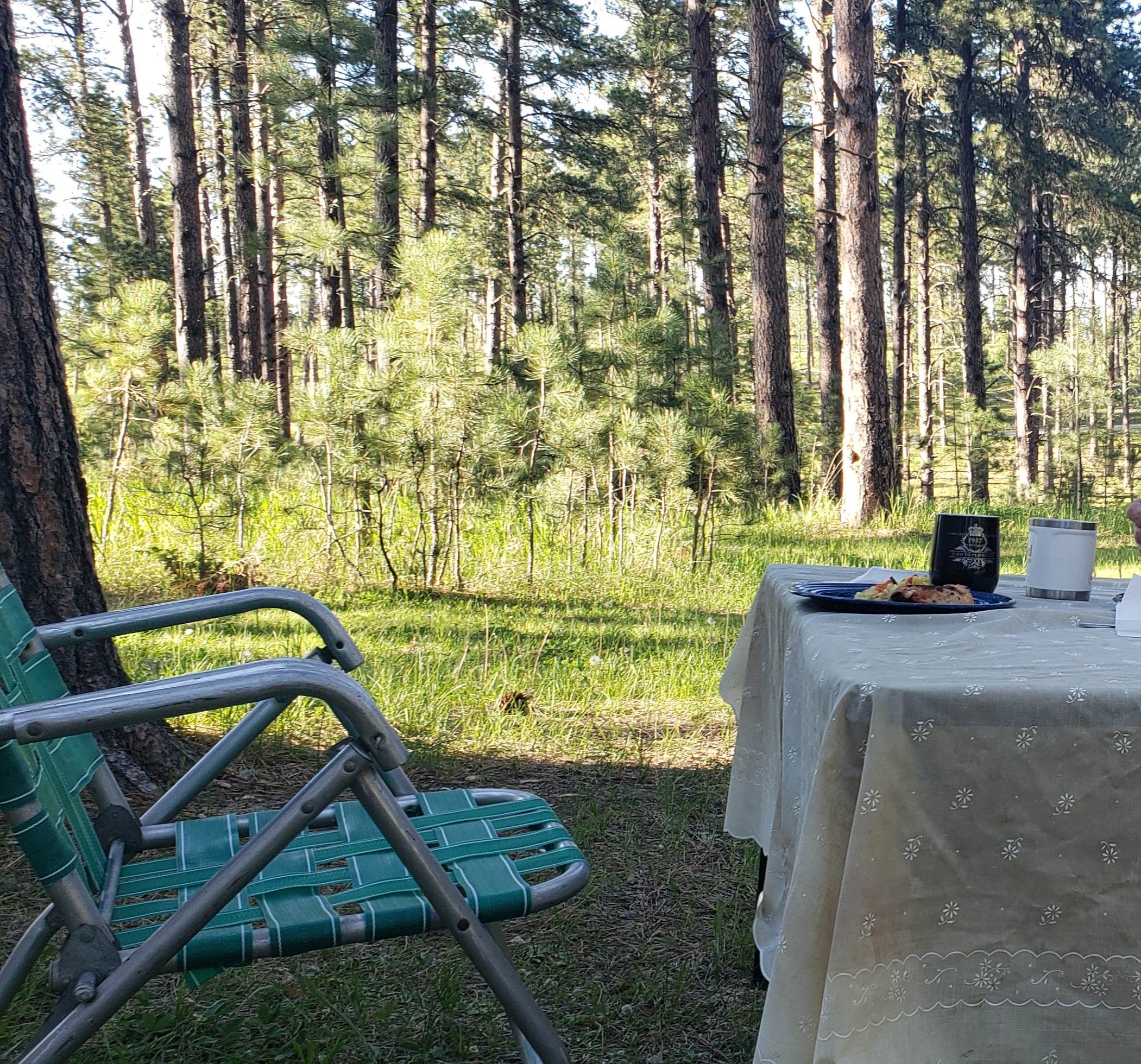 Camper submitted image from Roubaix Lake - 5