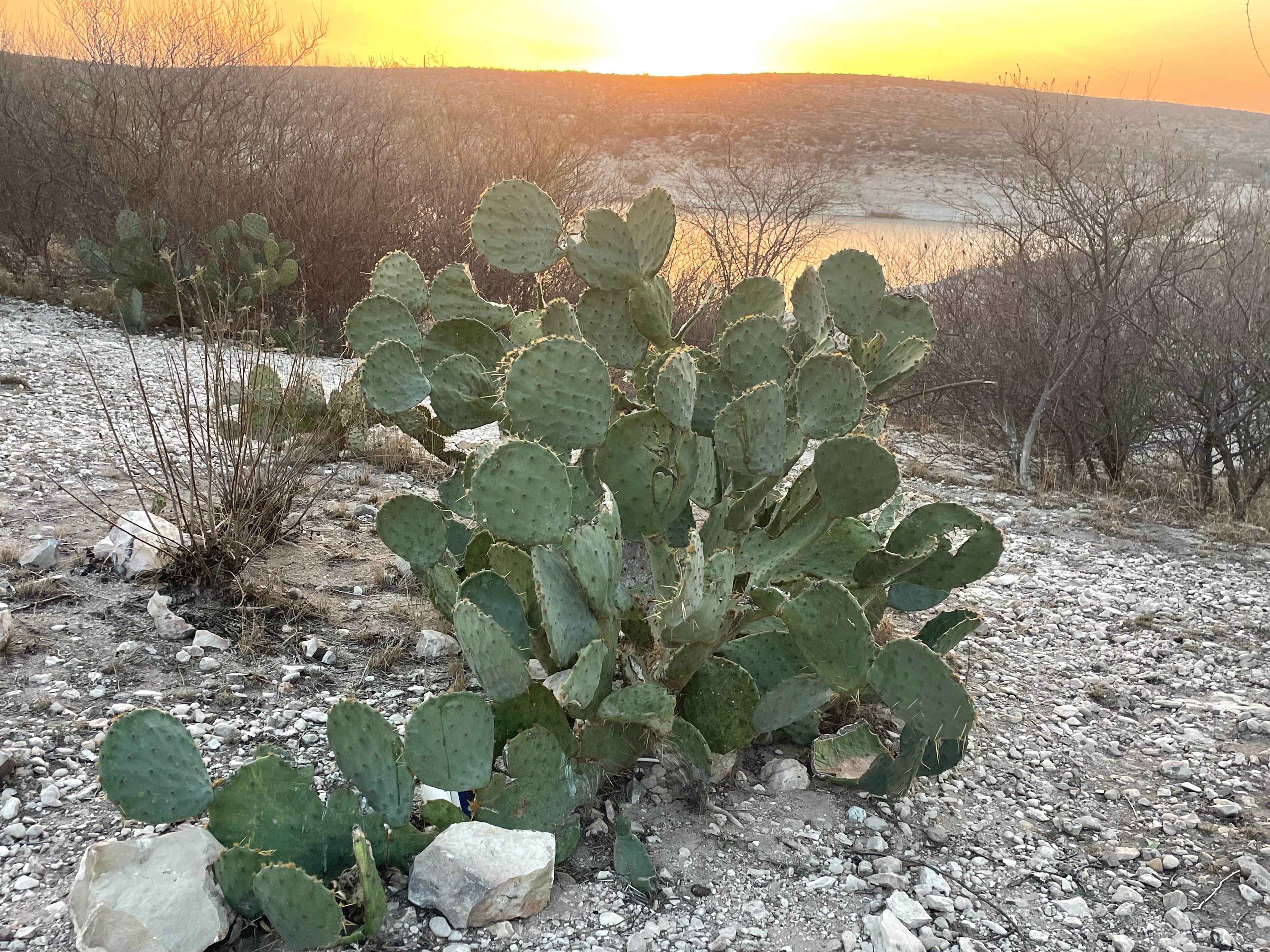Camping near Southwinds Marina on Lake: Rough Canyon Campground, Comstock, Texas