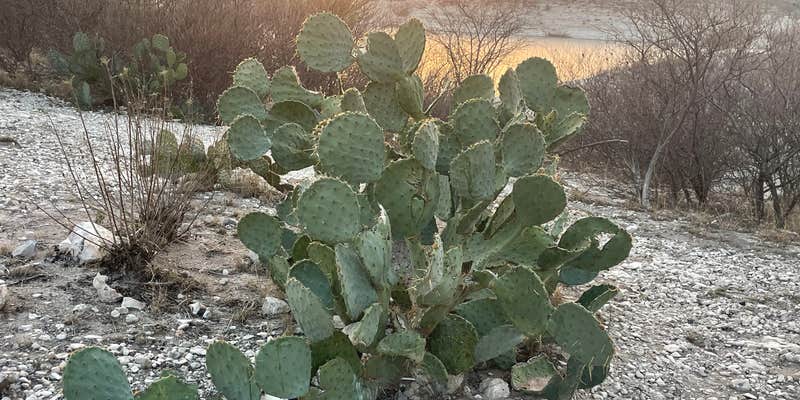 Camper submitted image from Rough Canyon Campground