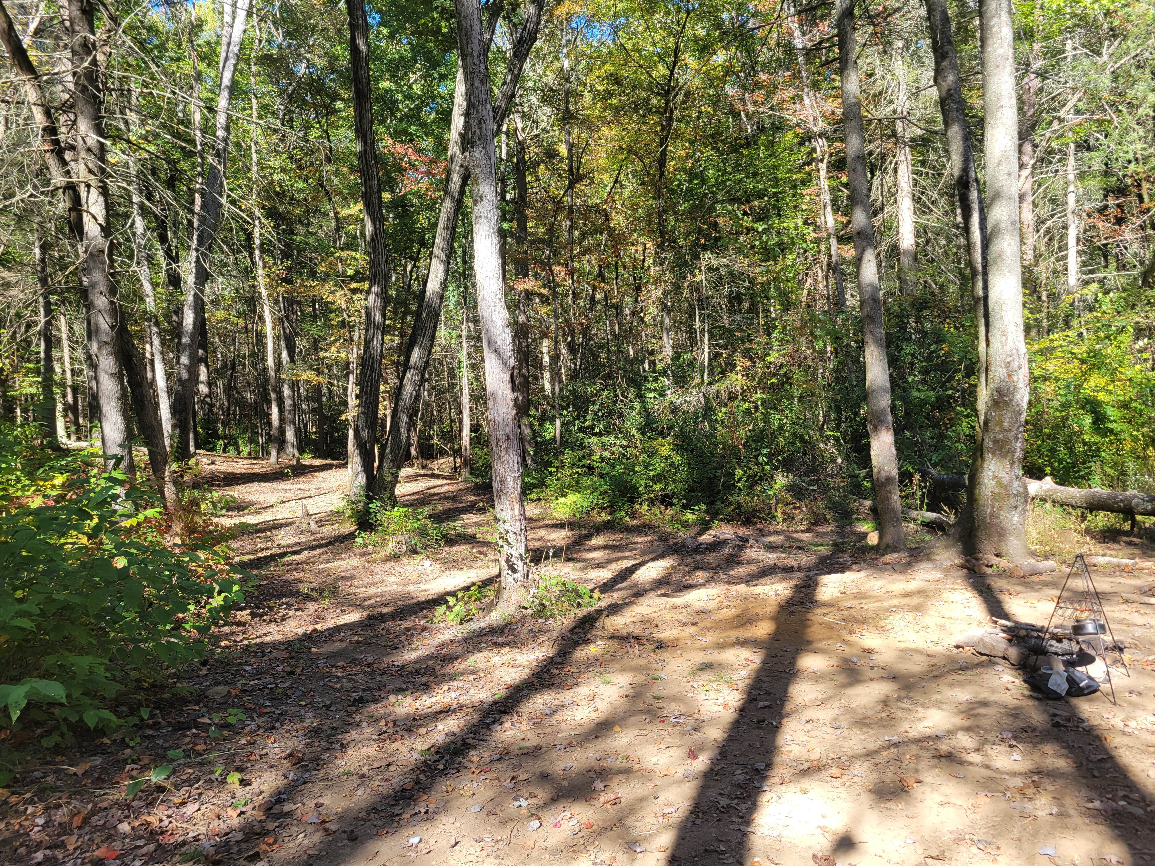Camper-submitted photo at Rough Creek Dispersed near McCaysville, GA
