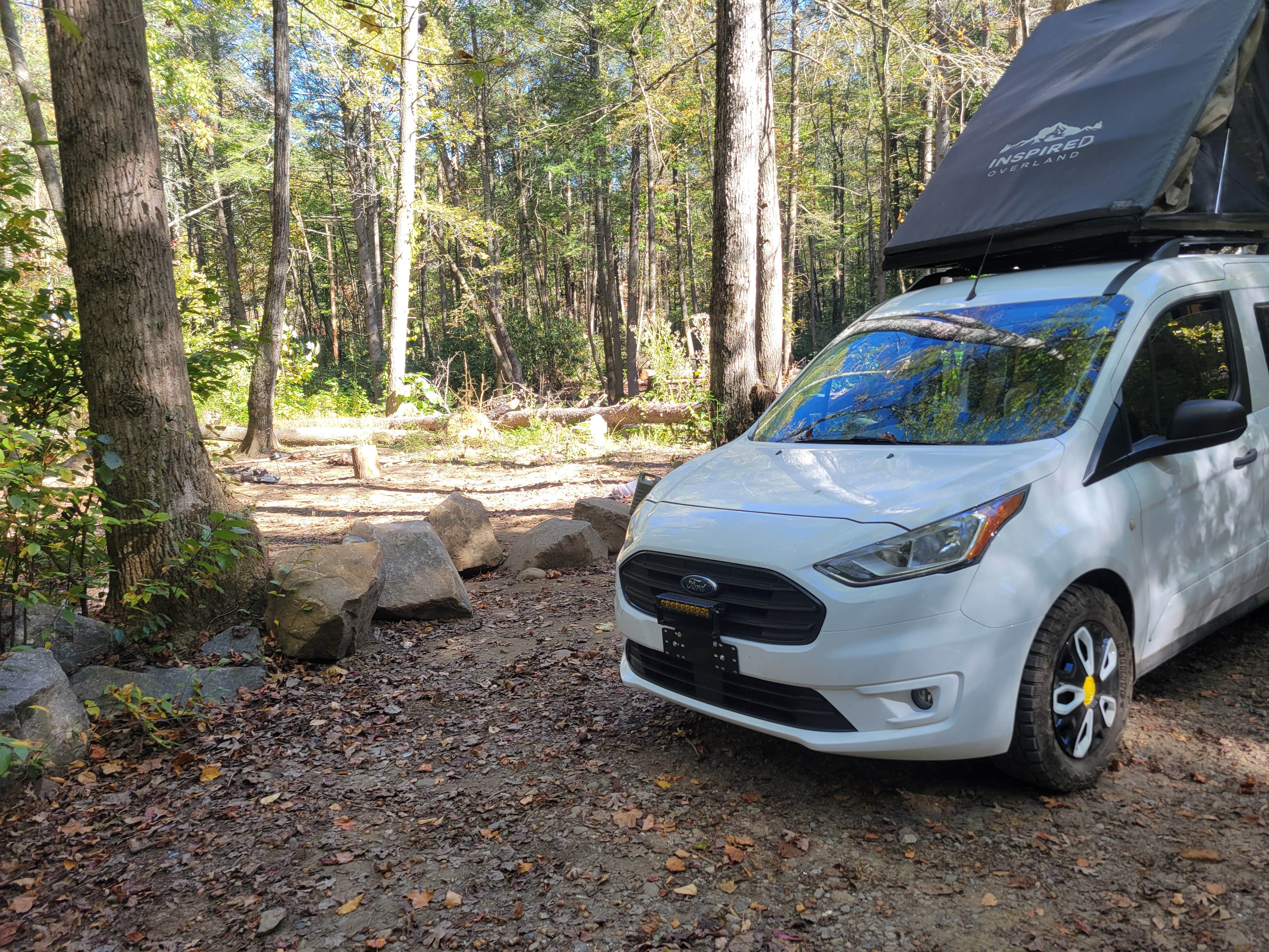 Camper submitted image from Rough Creek Dispersed - 2