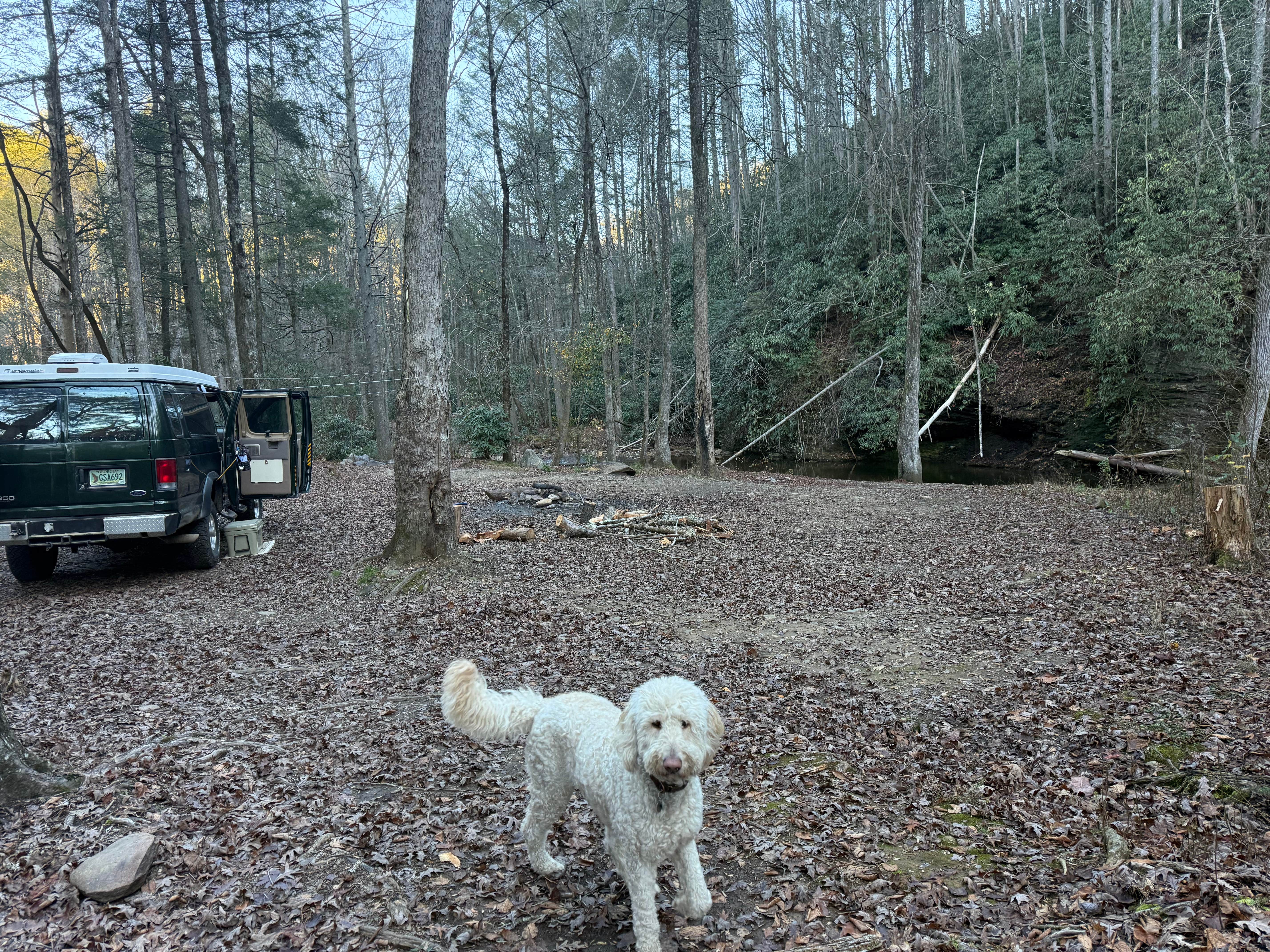 Camper submitted image from Rough Creek Dispersed - 5