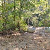 Review photo of Rough Creek Dispersed by Liz  M., October 15, 2025