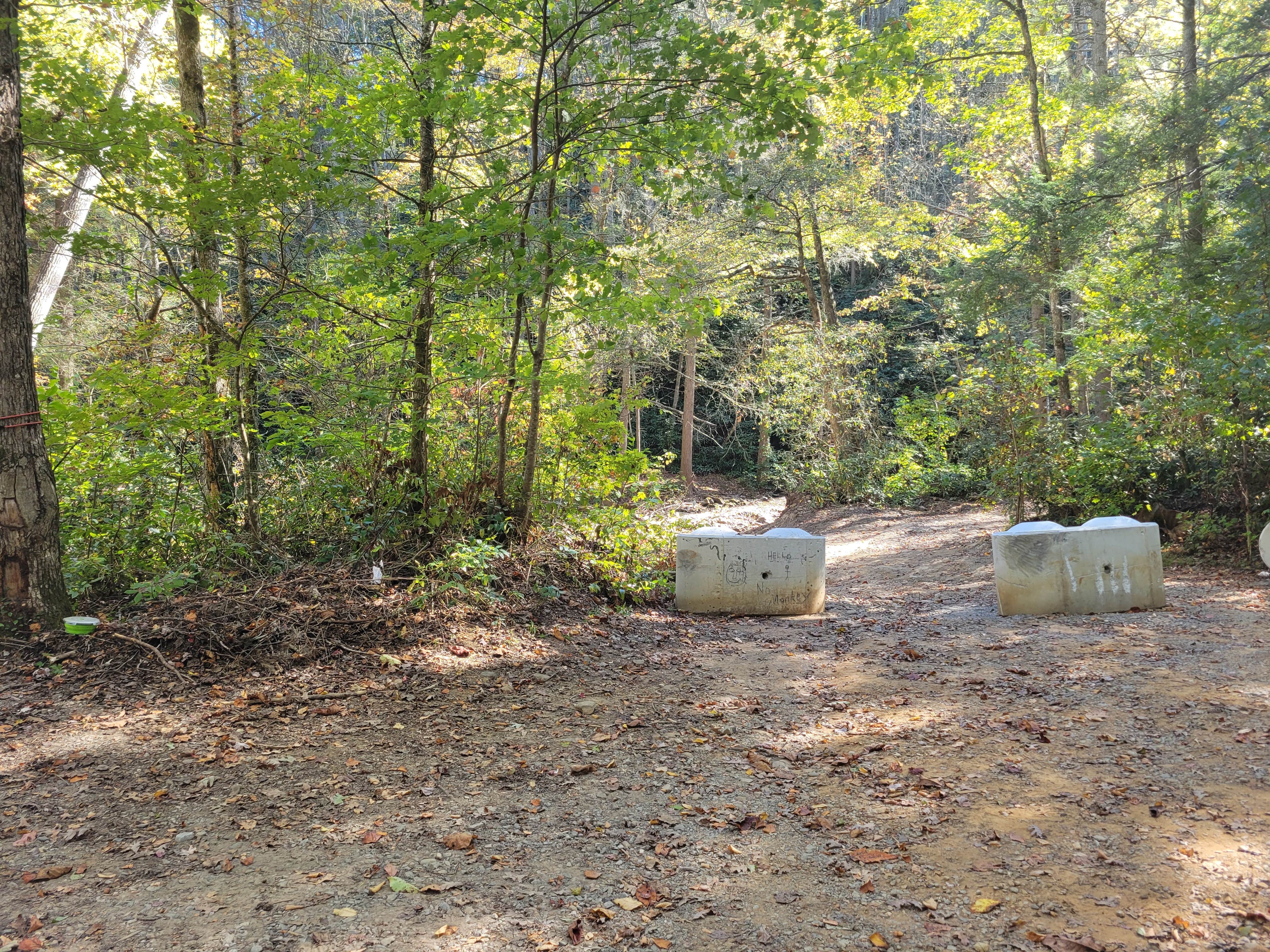 Camper submitted image from Rough Creek Dispersed - 3